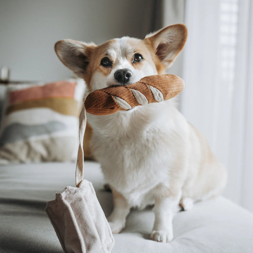 Jouet Interactif Pour Chien – Mini Baguette
