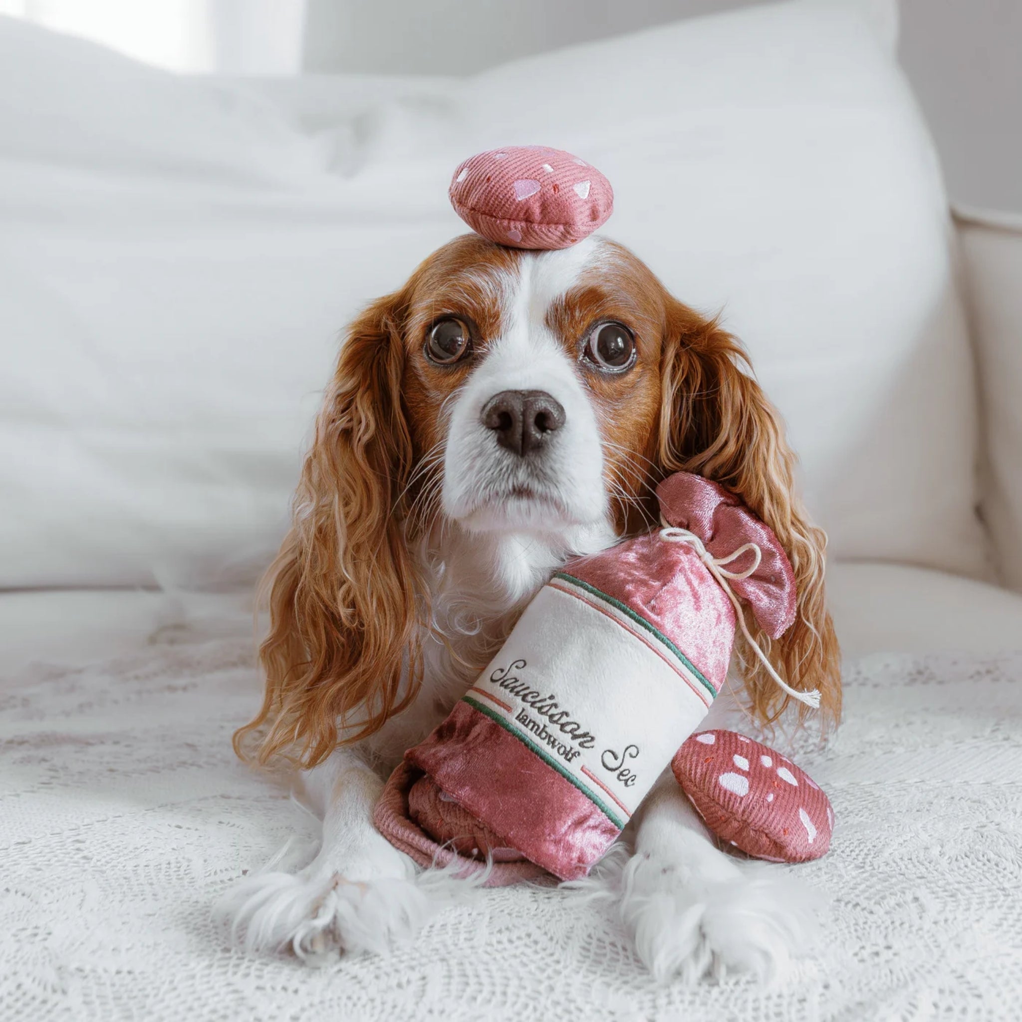 Enrichment Dog Toy - Saucisson Sec - Lambwolf Collective – La