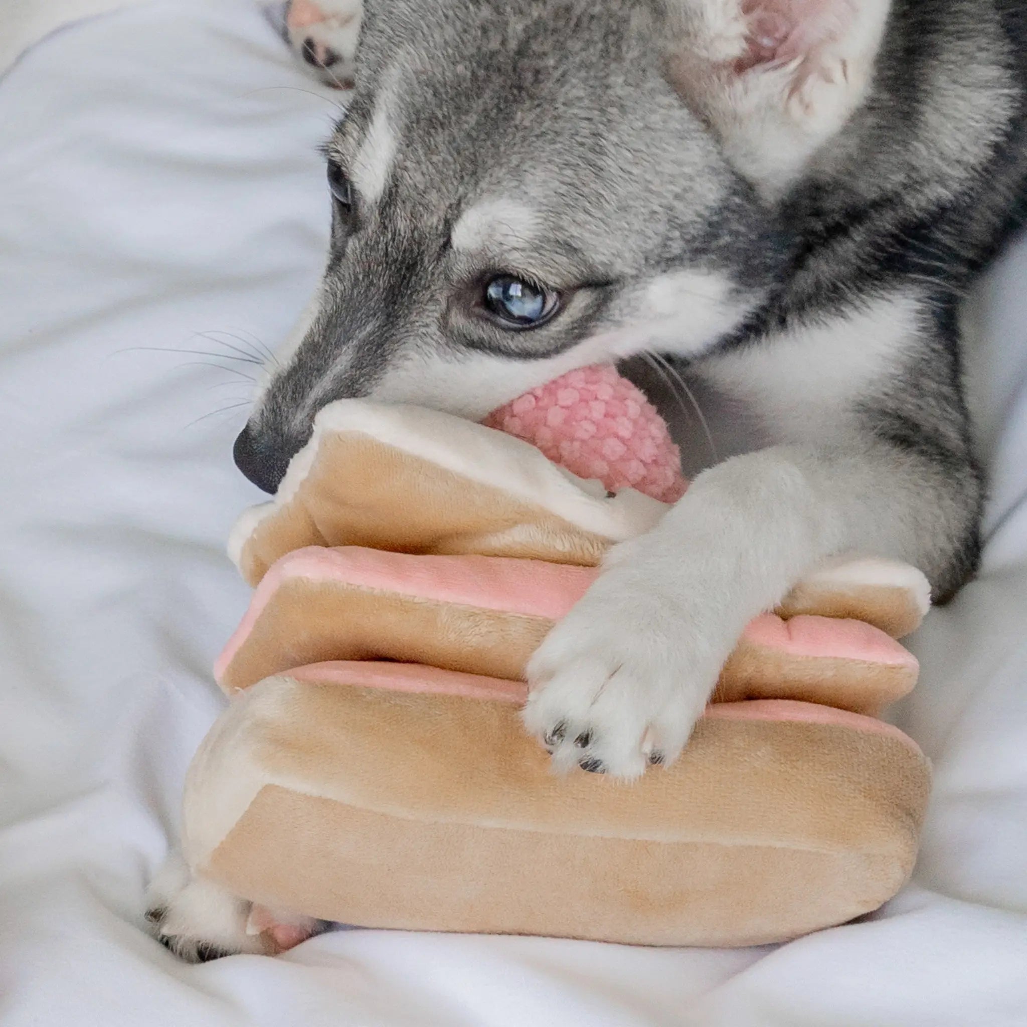 Enrichment Dog Toy - Strawberry Mille-Feuille - Pups & Bubs - La Maison Mou