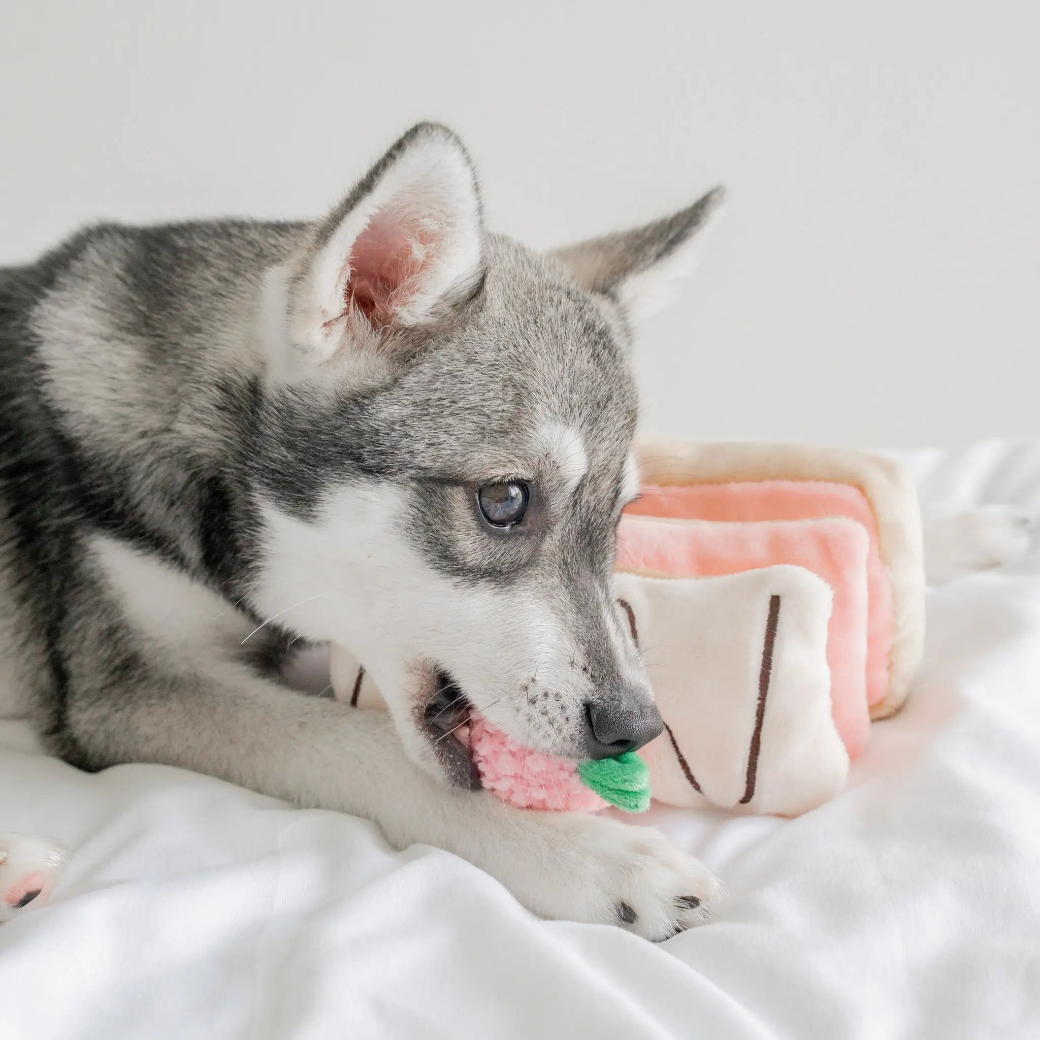 Enrichment Dog Toy - Strawberry Mille-Feuille - Pups & Bubs - La Maison Mou