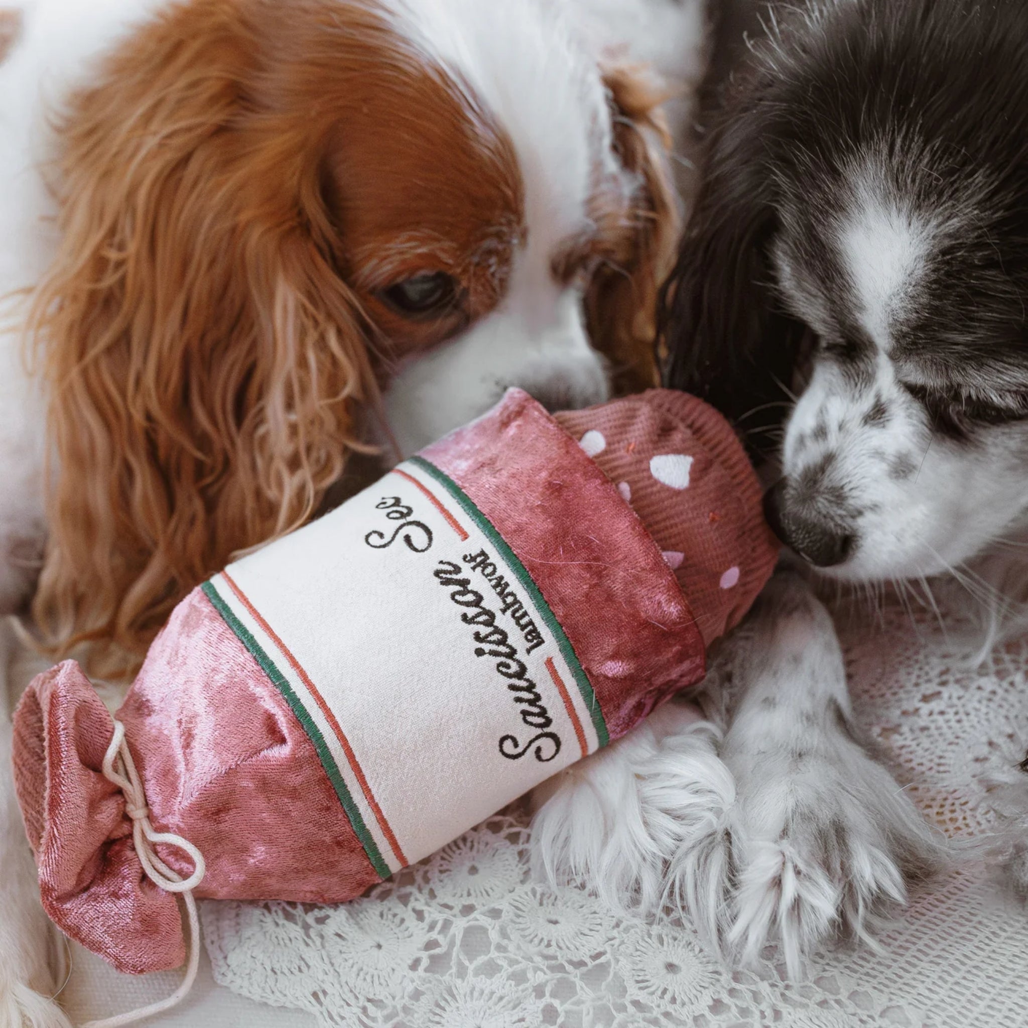 Two small long-eared dogs nudging and exploring the Saucisson Sec interactive nosework treat-hiding pouch together on a white lace bed cover.