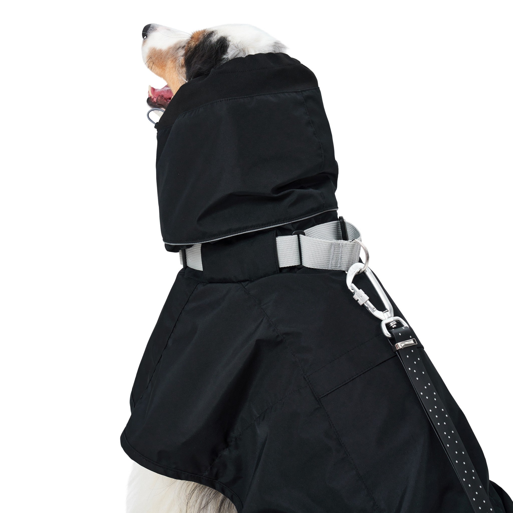 Side-rear view of a dog's head showing the fully extended black hood coverage and the integrated grey collar strap opening of the Merlot Ain™ dog raincoat.