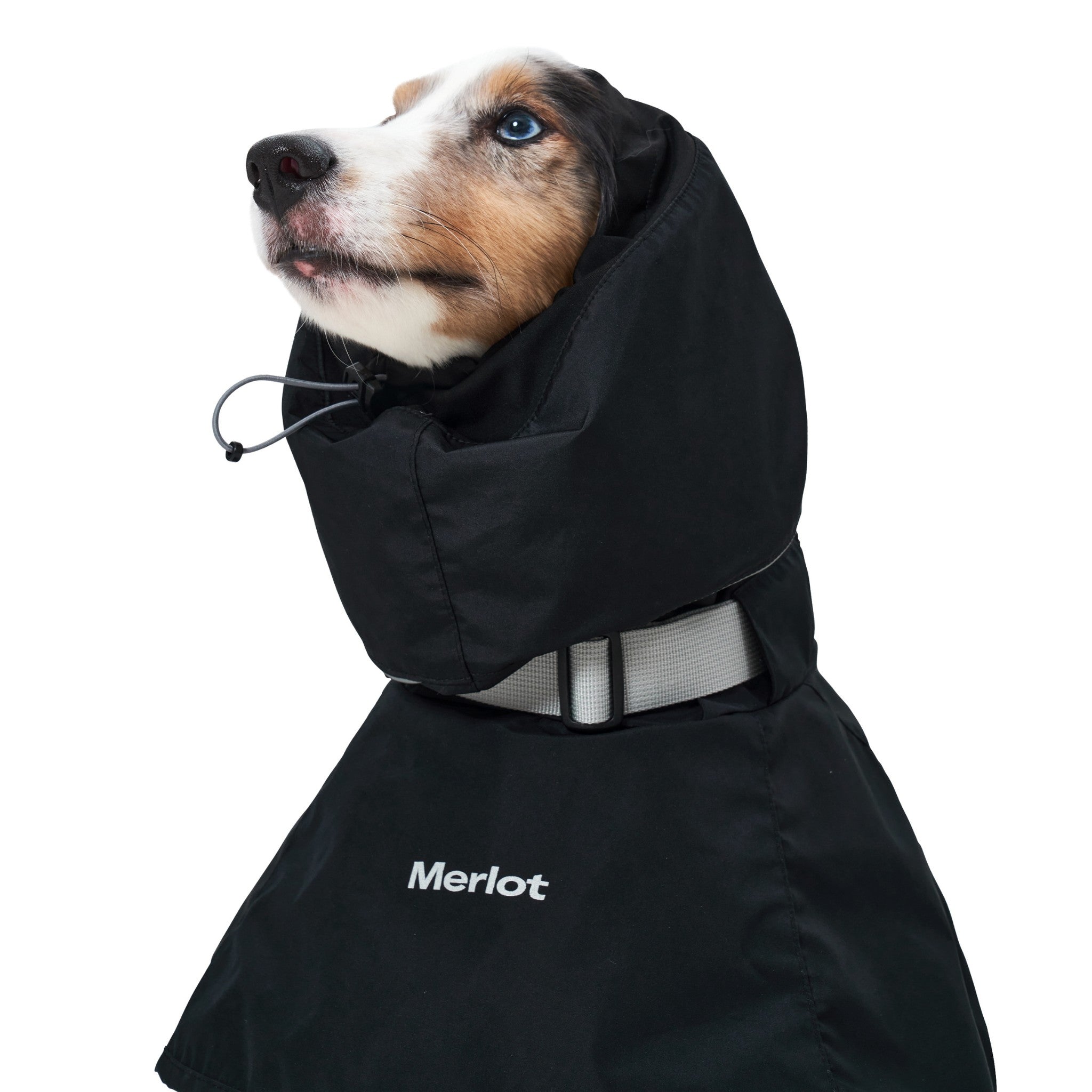 Close-up of a dog wearing the black Merlot Ain™ rain jacket with the protective hood fully extended over its head, featuring an adjustable elastic drawstring toggle for a secure fit.