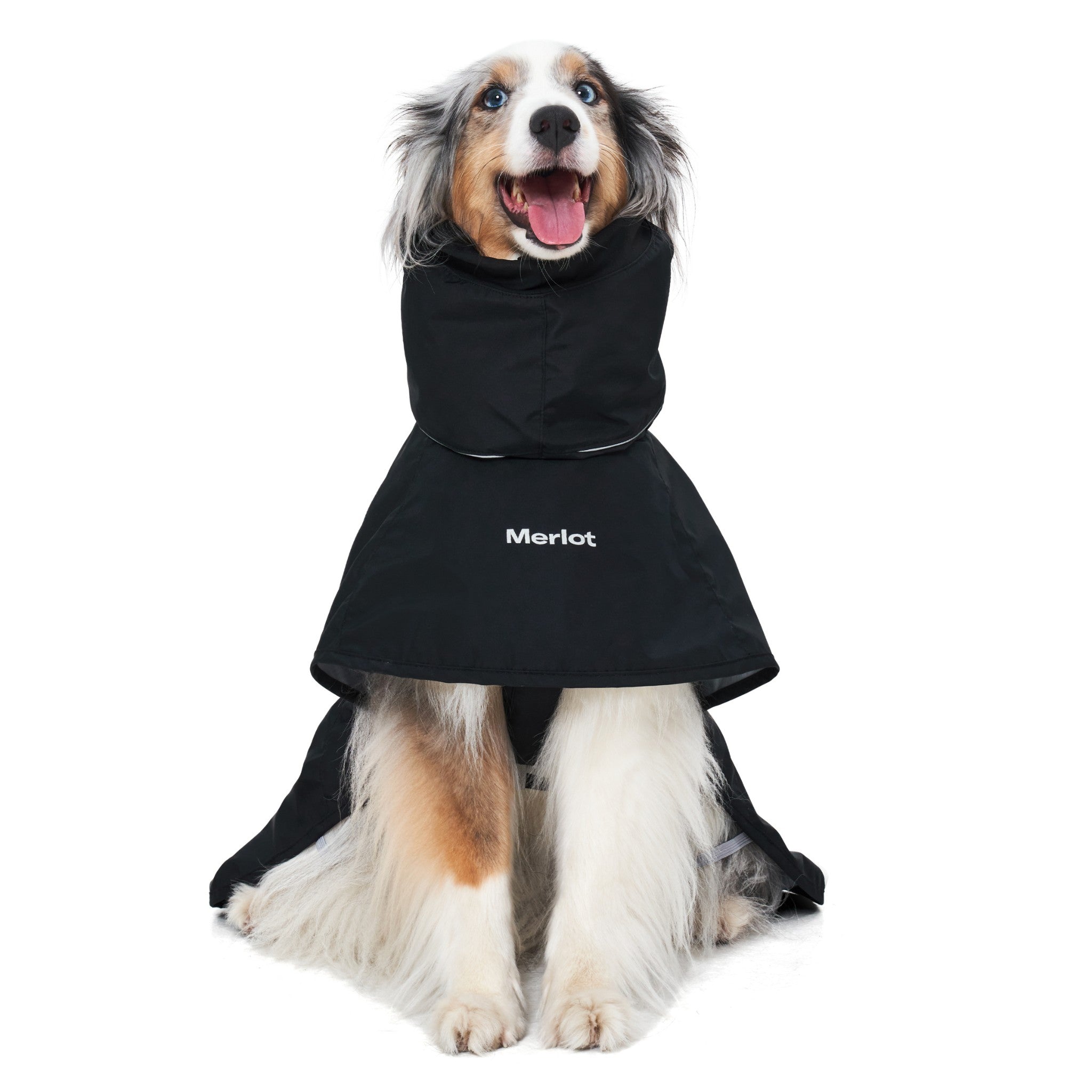 Direct front view of a blue merle dog sitting down in the black Merlot Ain™ dog raincoat, showcasing the full chest protection panel and central white embroidered logo.