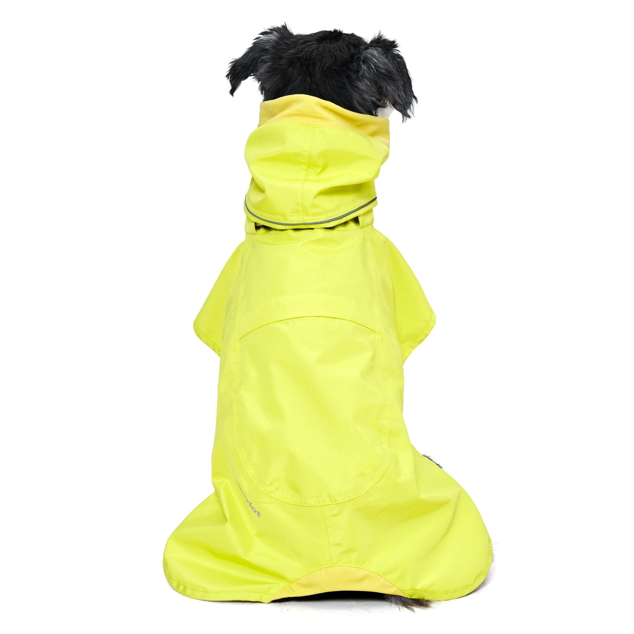 Rear view of a black and white dog sitting down facing away from the camera, displaying the full back length protection, clean dorsal seam, and tail clearance of the neon lemon yellow Merlot rain jacket.