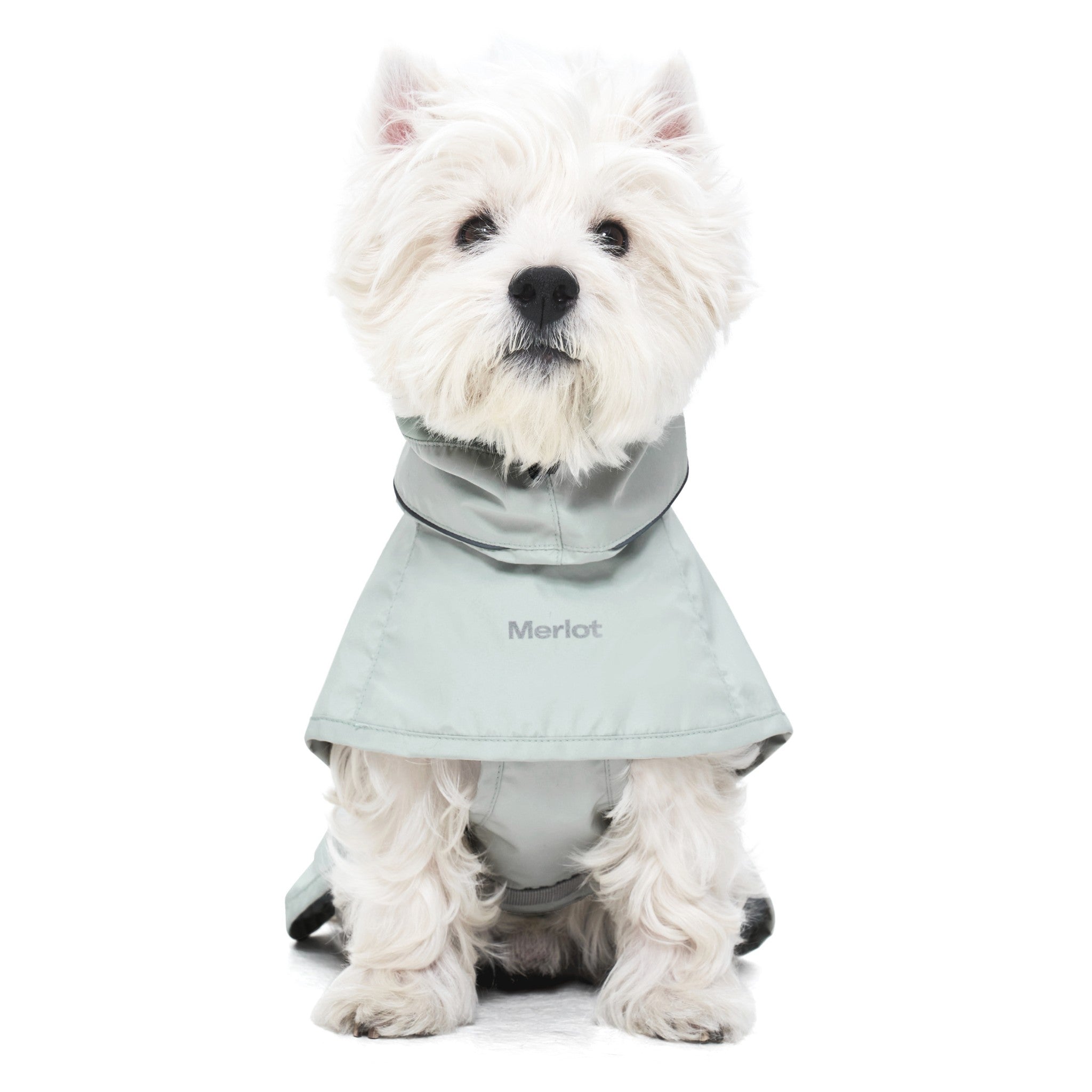 Direct front view of a small white dog sitting down cleanly in the lime stone light green Merlot Ain™ dog rain jacket, showing the loose cowl neck styling and prominent front chest logo.