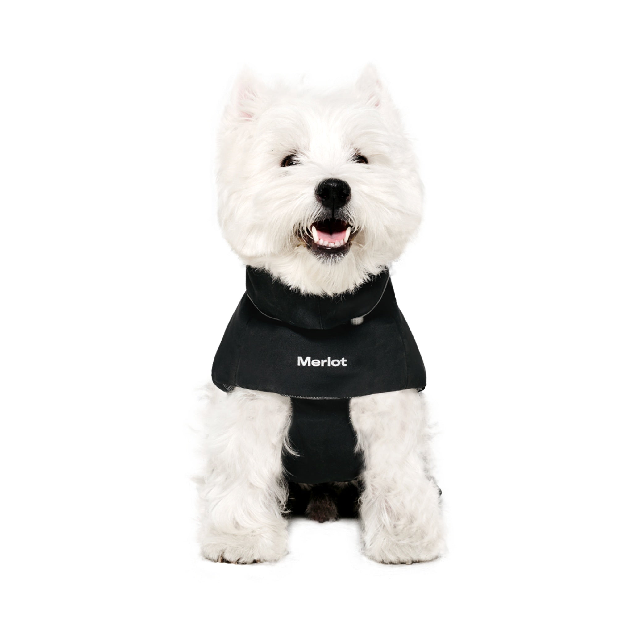 Front view of a happy white West Highland White Terrier sitting down, showcasing the protective high cowl neck collar and clean white embroidered Merlot logo on the chest of the black winter puffer dog coat.