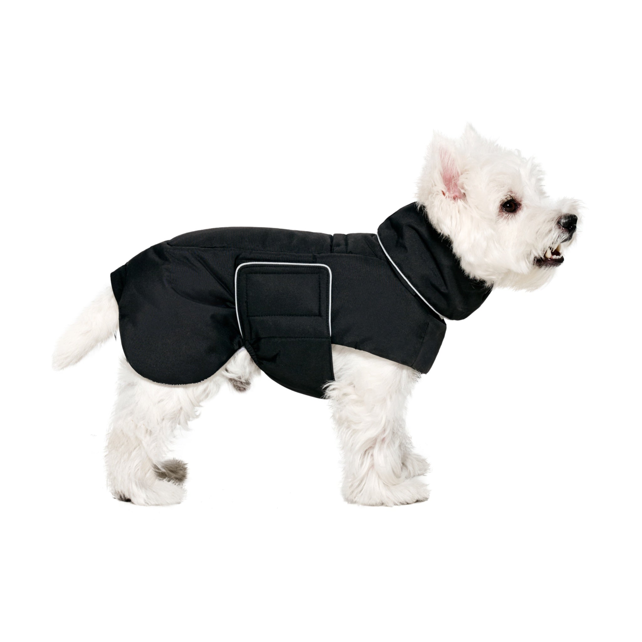 Full side profile view of a white Westie dog standing against a white backdrop, demonstrating the streamlined body fit, secure underbelly paneling, and clean white trim details of the black Merlot winter puffer jacket.