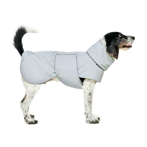 Manteau Pour Chien – Ain™ Puffer Lime Stone