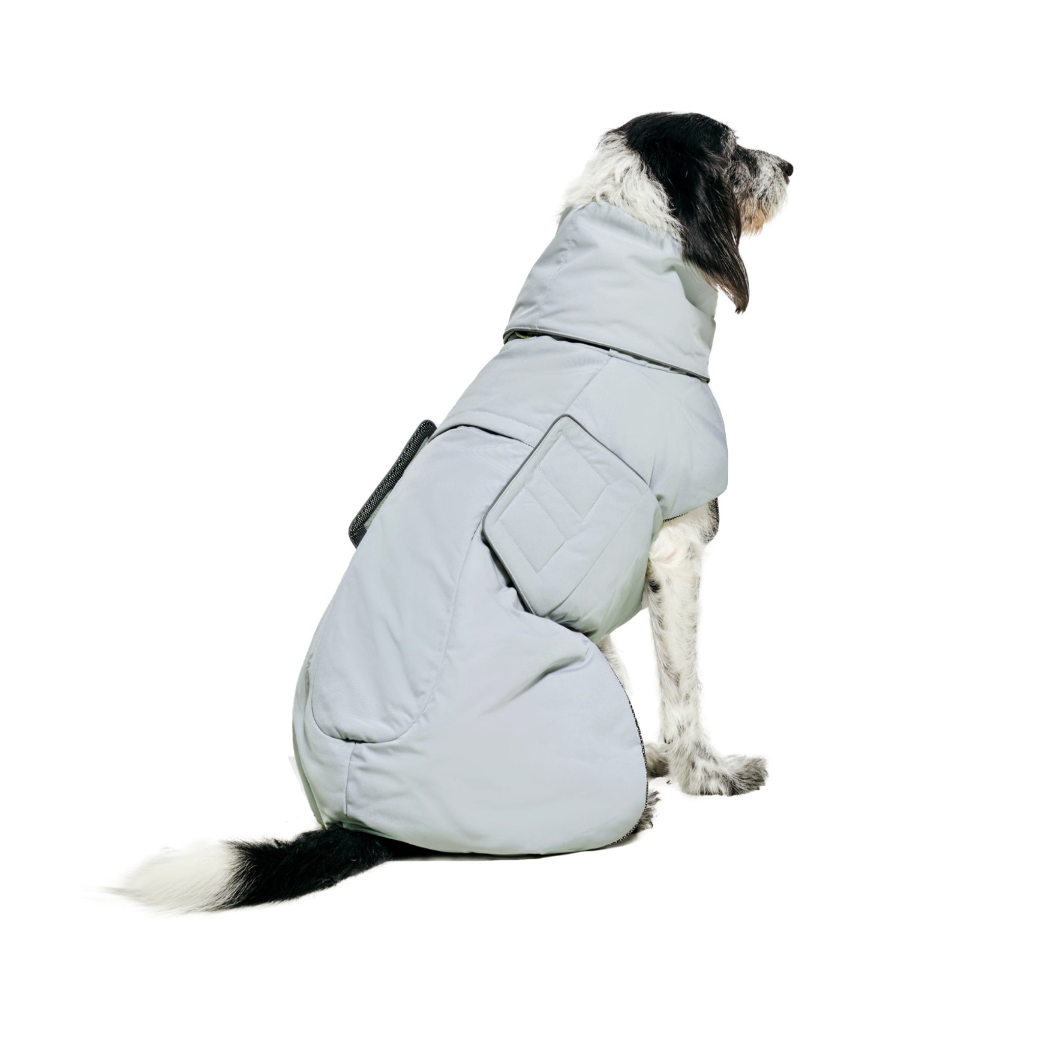 Rear side view of a speckled dog sitting, showcasing the wrap-around hip insulation, contoured back styling, and high neck collar of the Merlot Lime Stone puffer coat.