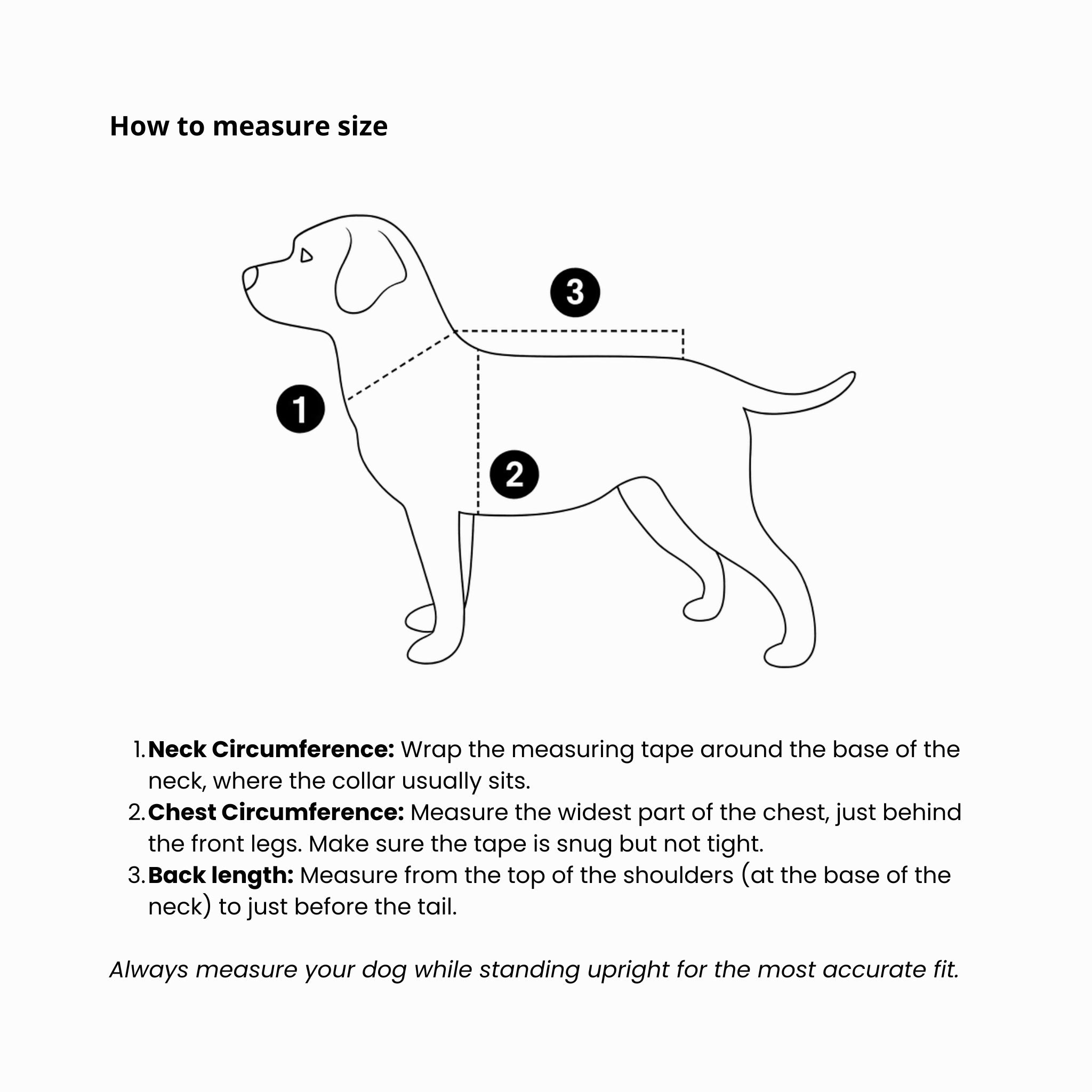 An instructional sizing measurement diagram featuring a line drawing of a dog with numbered indicators outlining how to measure neck circumference, chest circumference, and back length for an accurate product fit.