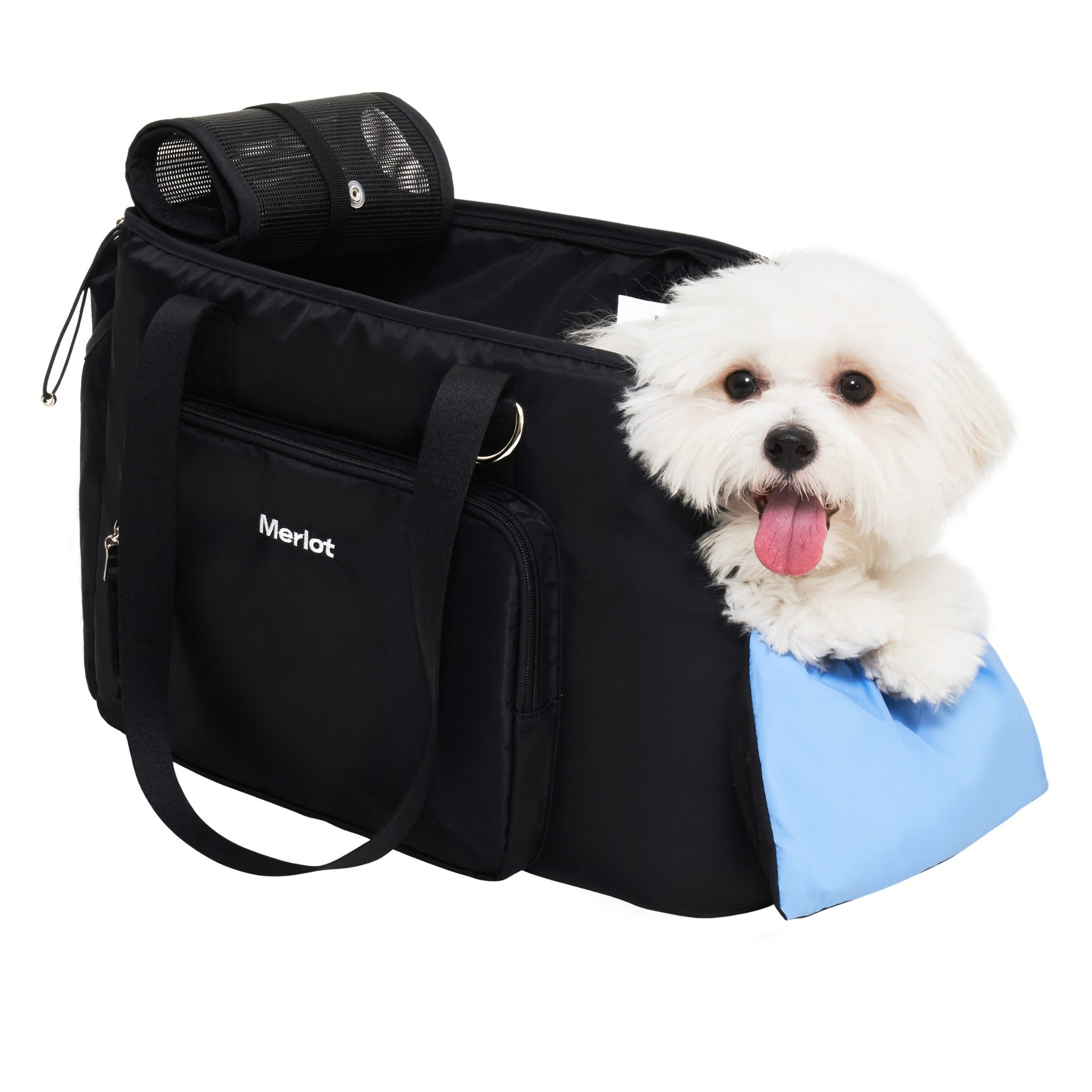 An angled three-quarter studio view of a small white dog peering happily out of the open black Merlot Mermer bag with its paws supported by a bright blue comfort insert cushion.