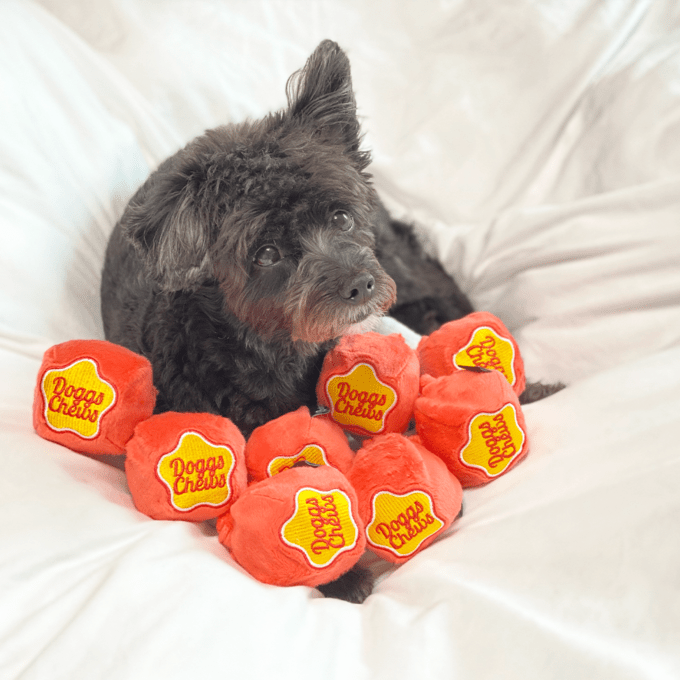 Nosework Dog Toy - Chupa Chups Lollipop - Dingdog - La Maison Mou