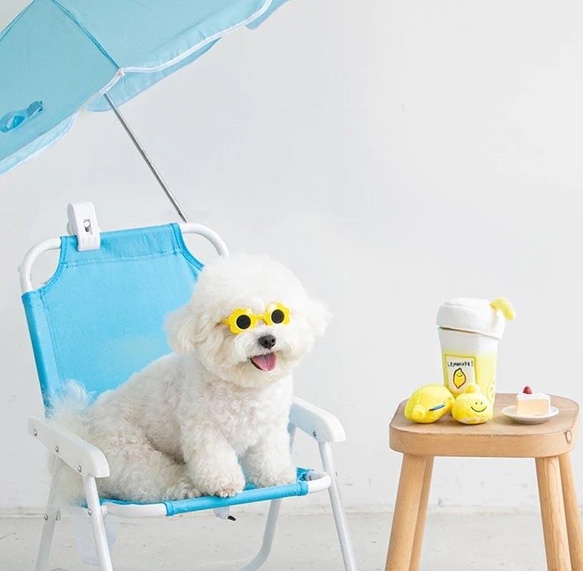 Nosework Doy Toy - Second Morning Lemonade - Bite Me - La Maison Mou