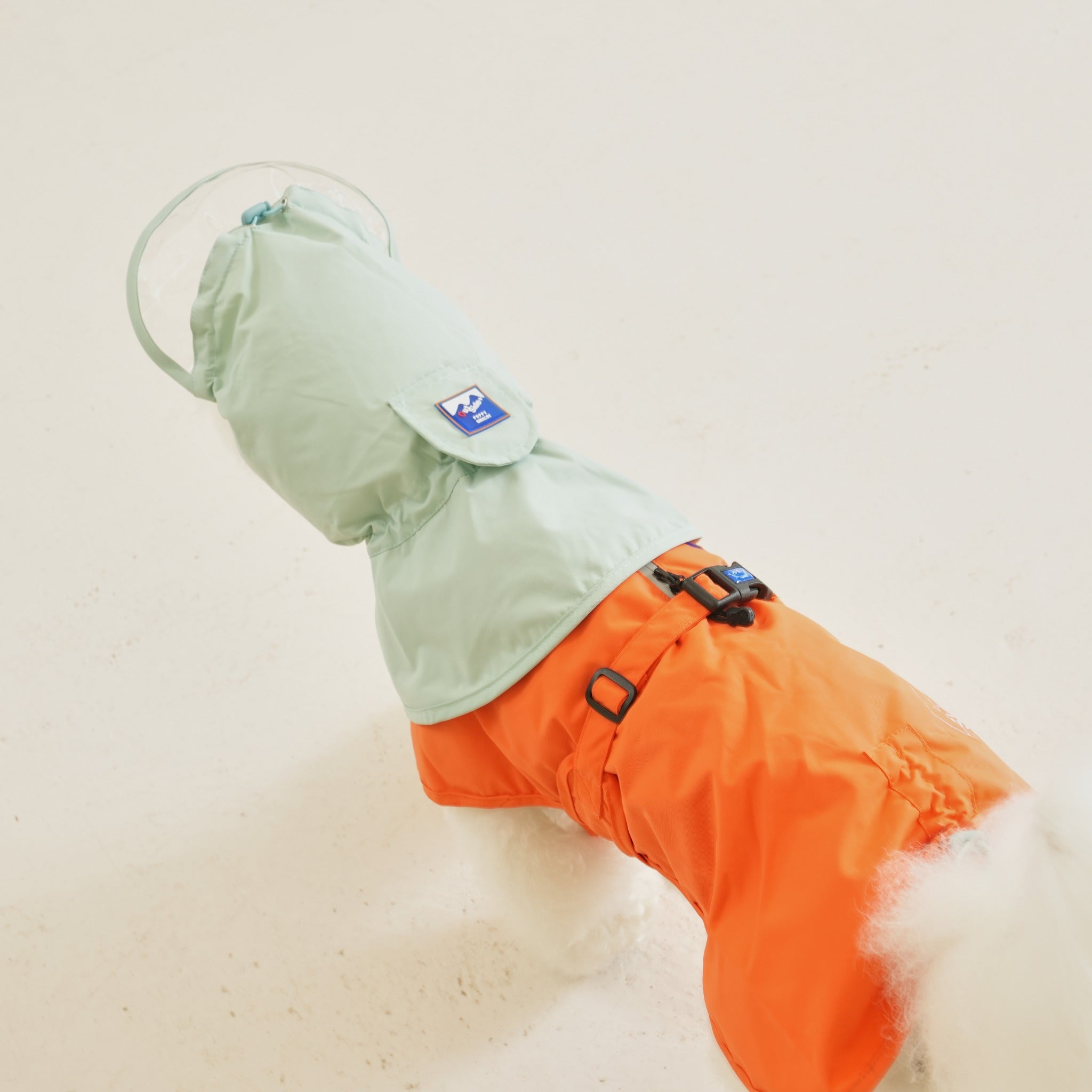 High-angle studio view of a white dog wearing the orange All Weather Water Shield Poncho raincoat with a protective mint green hood and a clear plastic visor.