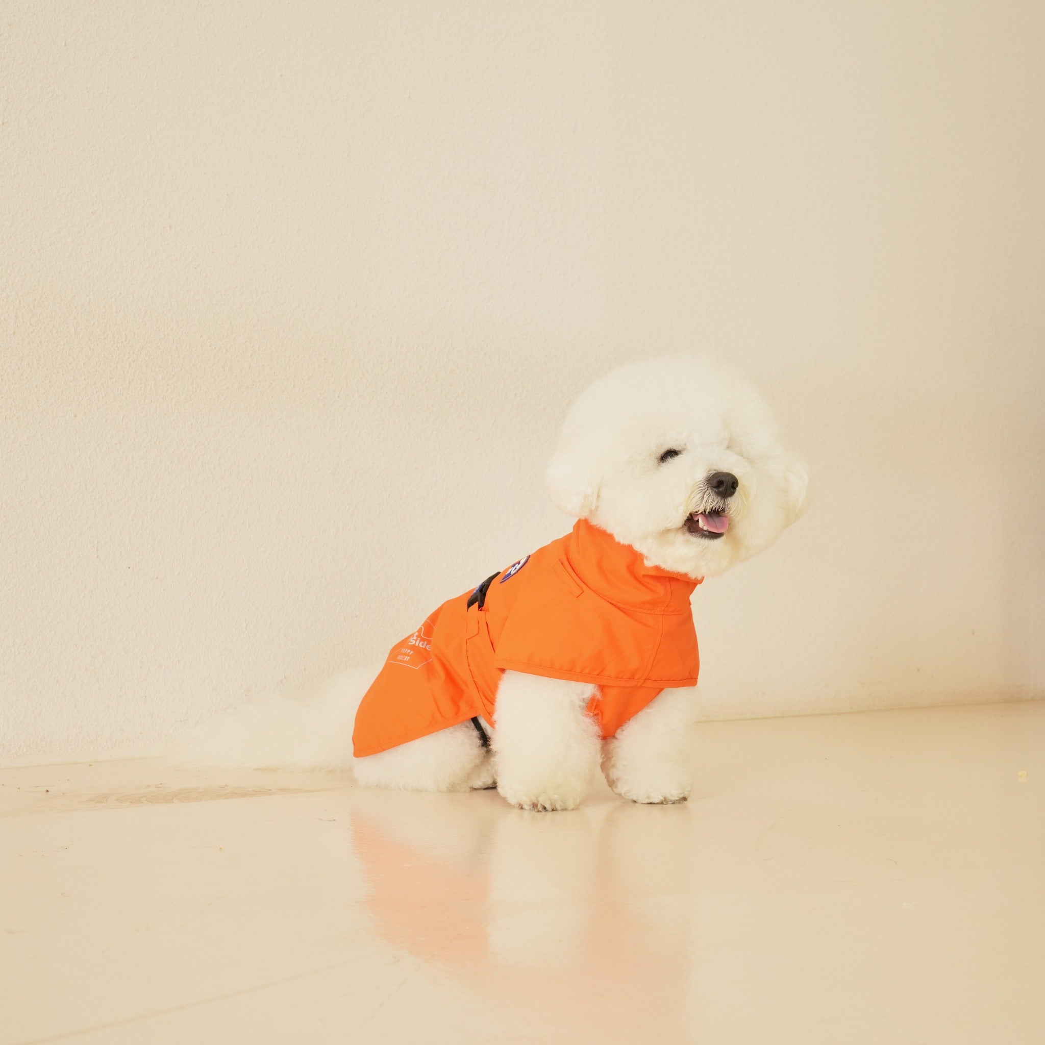 A white Bichon Frise dog sitting comfortably while wearing the orange body suit portion of the water shield raincoat with the hood detached.
