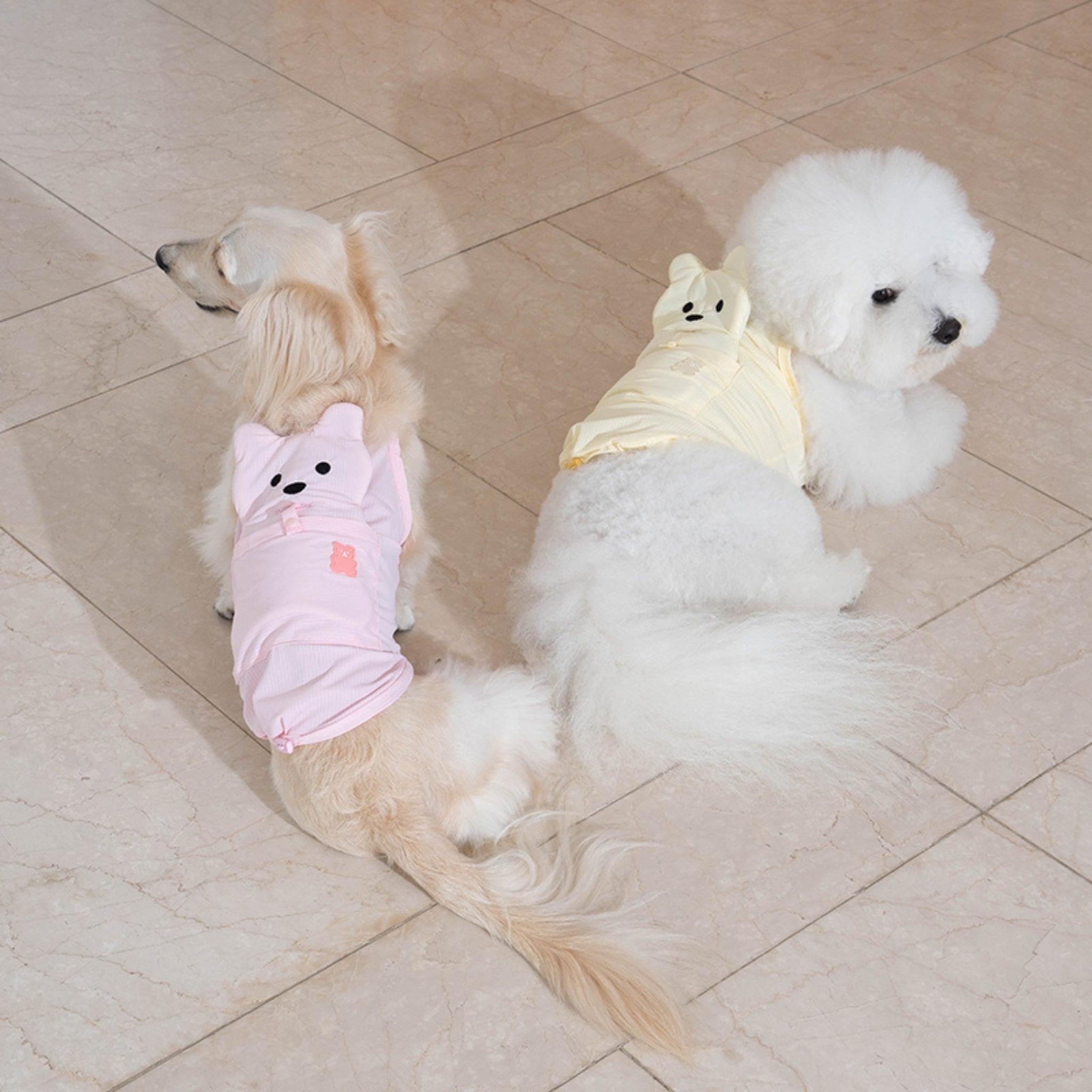 Two small dogs sitting on a tiled floor seen from behind, one wearing the baby pink cooling vest and the other wearing the lemonade yellow variation of the Big Bear summer collection.