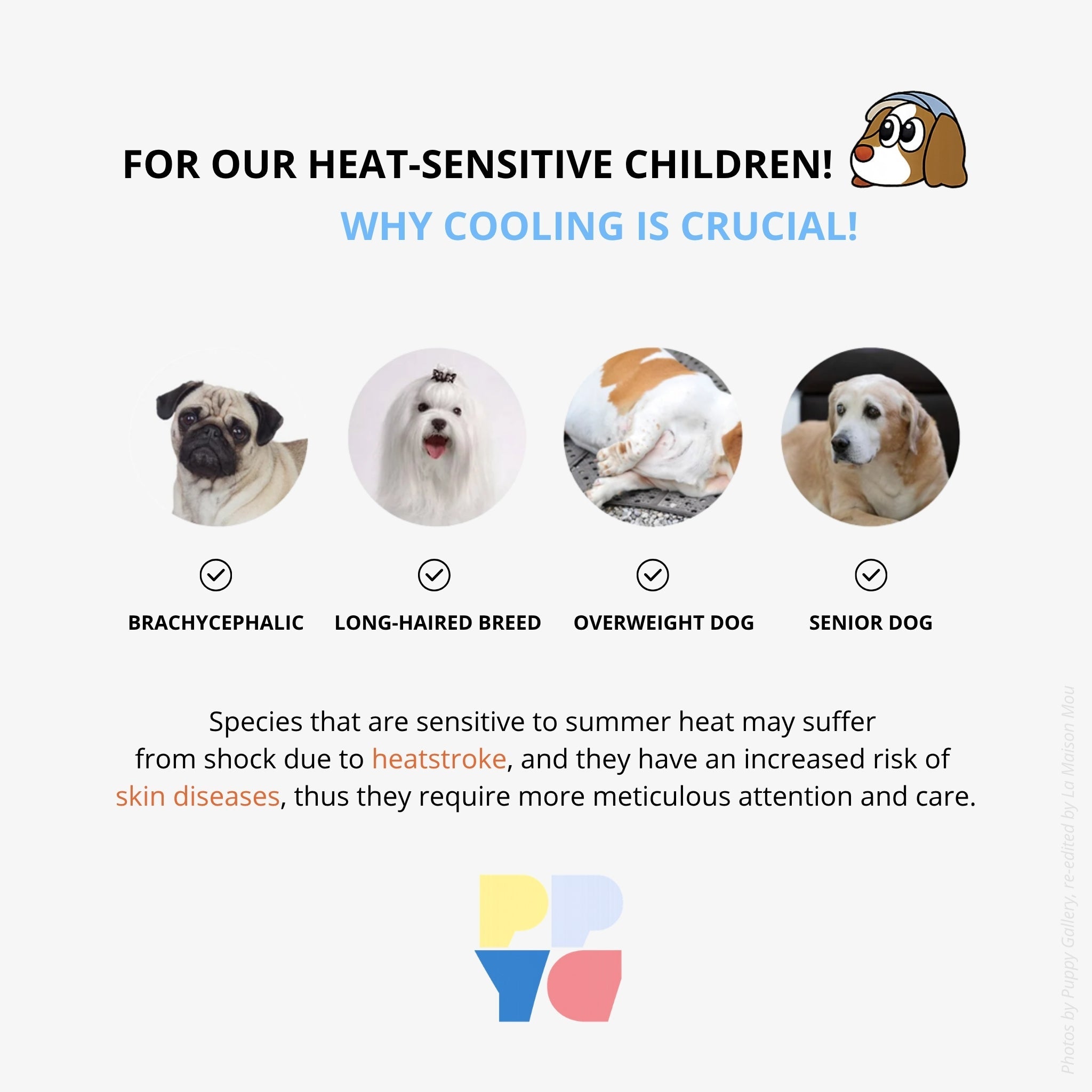 An informative graphic explaining why heat-stroke cooling is crucial for heat-sensitive pets, highlighting brachycephalic dogs, long-haired breeds, overweight dogs, and senior dogs.