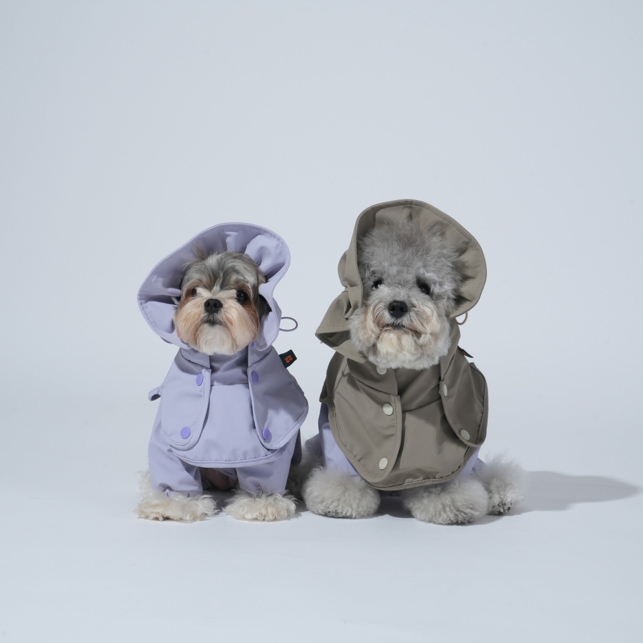 Two small dogs sitting side-by-side modeling Puppy Gallery weather protection gear; one wears the lavender GO Pro Weather Snood and suit, while the other wears the contrasting khaki taupe rain hood.