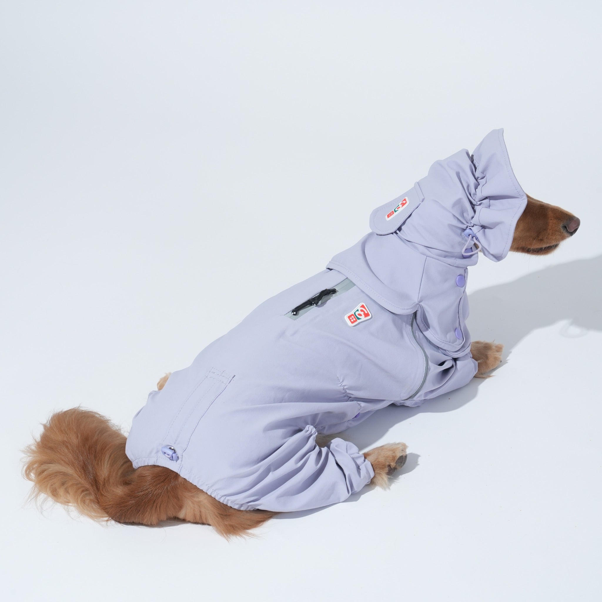 A long-haired dachshund lying down in a full lavender Puppy Gallery dog rain suit with the integrated protective snood hood fully extended over its ears.