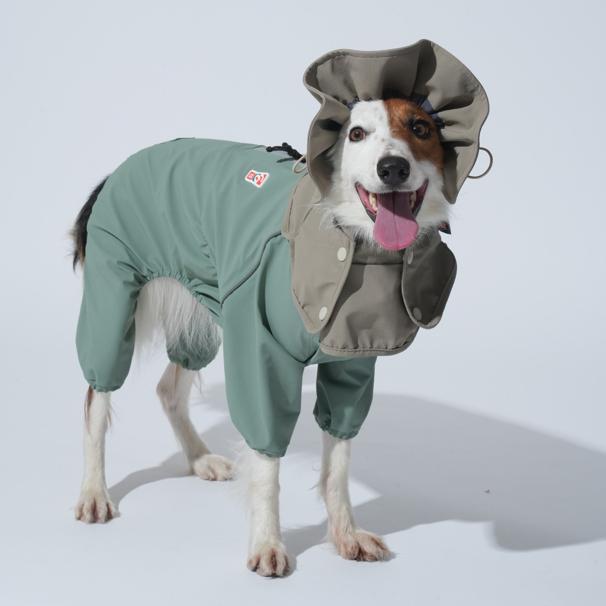 A happy brown and white dog standing and looking forward, wearing the khaki green Puppy Gallery Go Pro Weather Suit with an attached taupe waterproof hood cape.