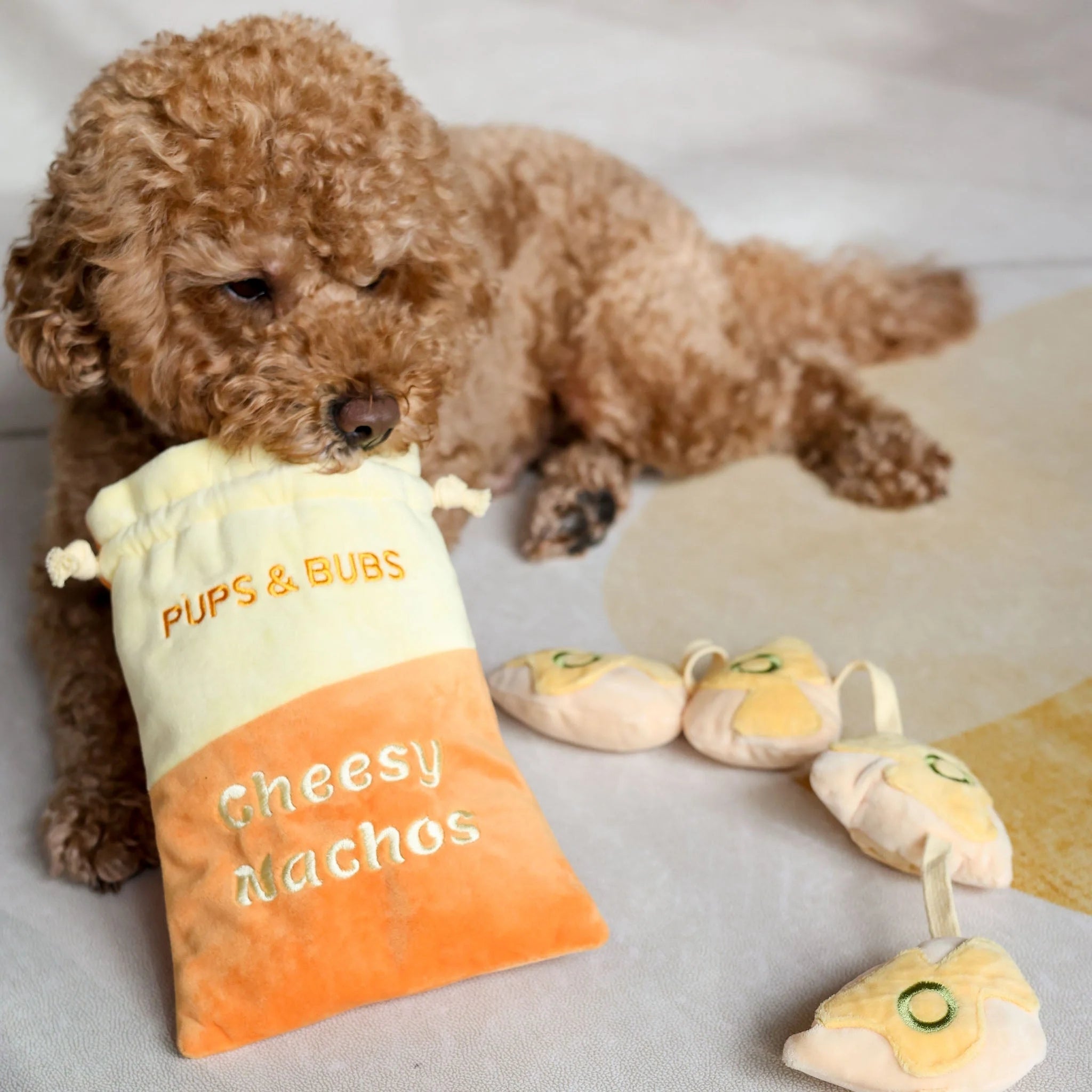 A curly brown poodle lying down next to the Cheesy Nachos plush toy bag, with a string of interactive tortilla chip squeakers pulled out onto the floor.